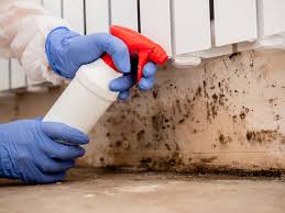 Best Attic Mold Removal in Gunnison, CO